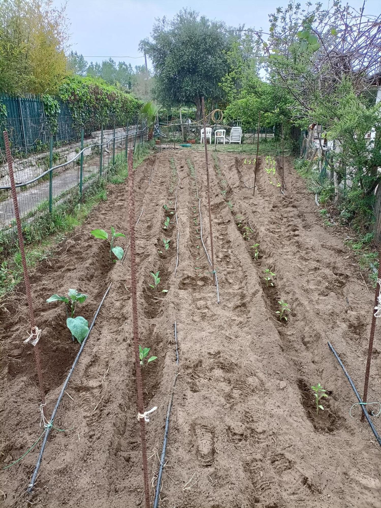 줄리아노인캄파니아 Il Giardino Degli Ulivi 아파트 외부 사진