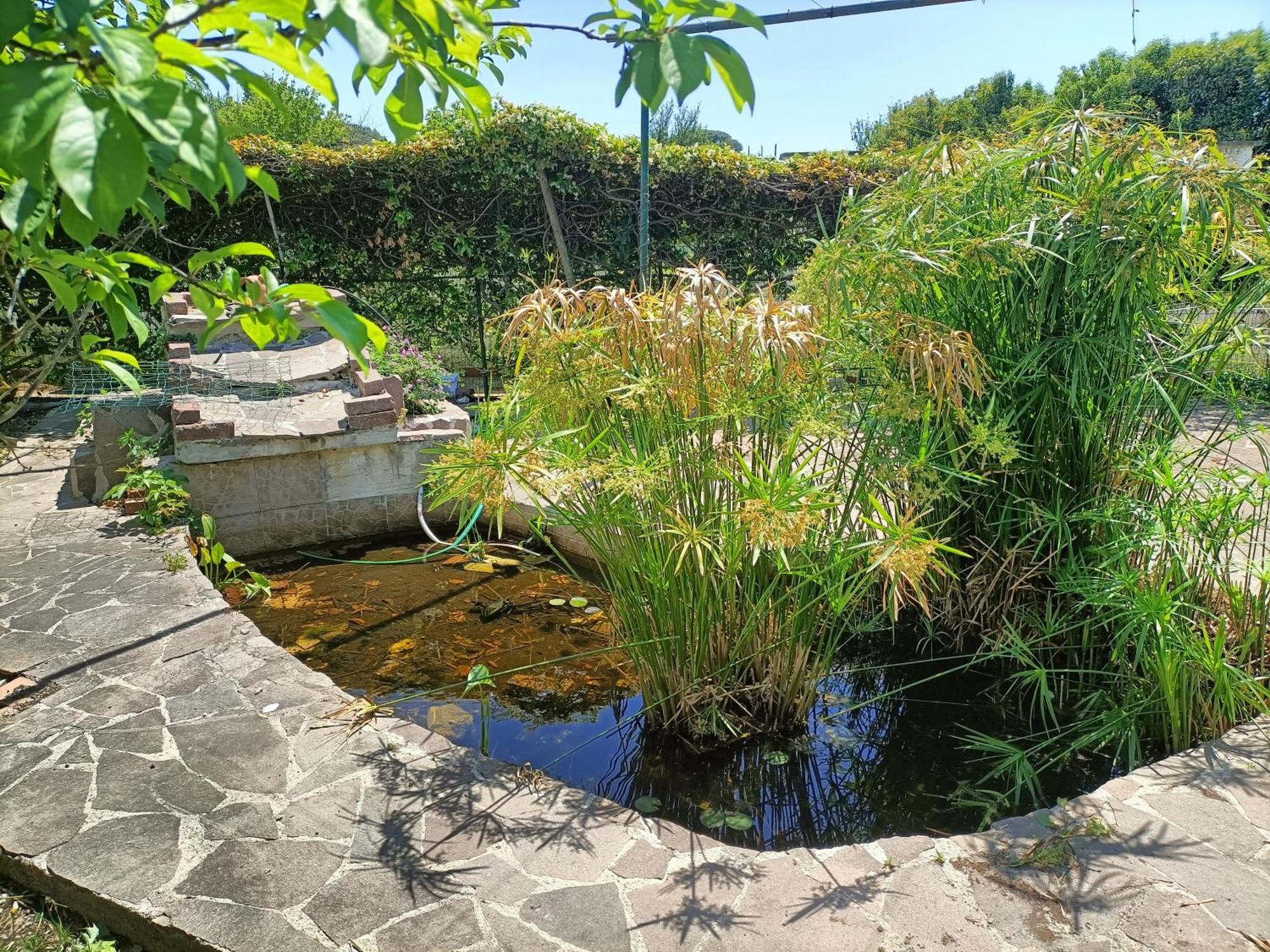 줄리아노인캄파니아 Il Giardino Degli Ulivi 아파트 외부 사진
